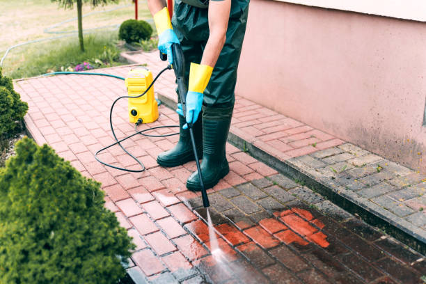 Best Roof Washing  in Oakland City, IN